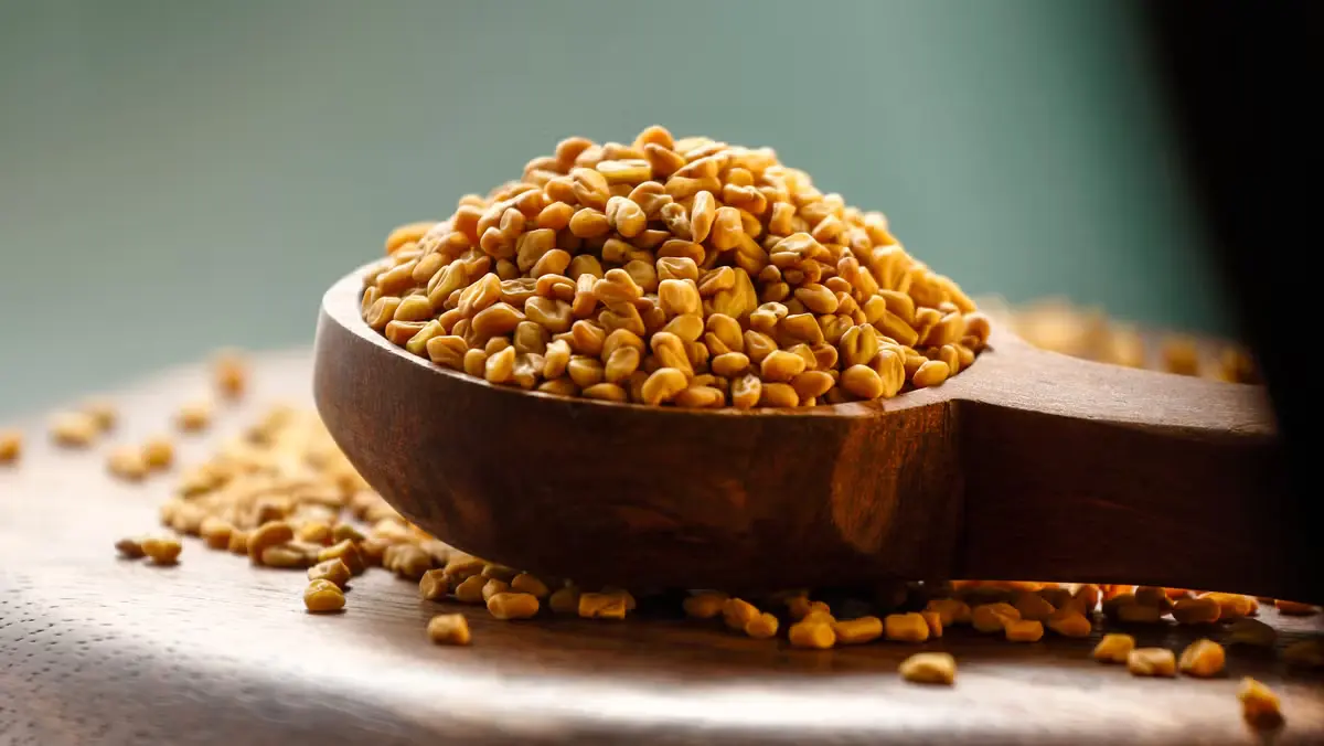 Fenugreek